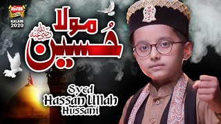 New Kalam 2020 - Syed Hassan Ullah Hussaini - Maula Hussain - Official Video - Heera Gold