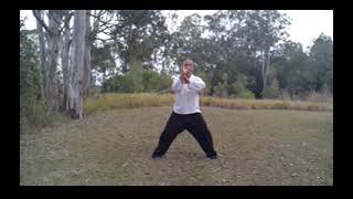 Qigong (SHAKING) Qi gong  Wai Tan Kung { why dun gong }