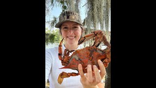 How to Eat a Louisiana Blue Crab