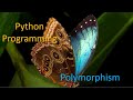 Polymorphism in python programming - OOP in Python