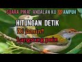 Prenjak Lumut pikat Andalan Mp3 paling ampu