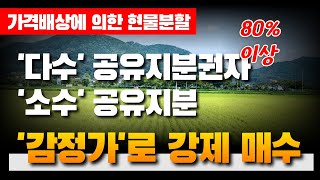 경매로 넘어간 소수 공유지분, 대다수 공유지분권자가 감정가로 매수 - 가격배상에 의한 현물분할  | ﻿법무법인 효현 김재권 변호사 | 공유물분할소송, 경매분할판결