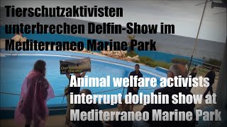 Animal welfare activists interrupt dolphin show at Mediterraneo Marine Park