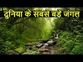 दुनिया के सबसे बड़े जंगल | Top 10 Largest and DANGEROUS Forest in World