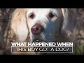 What Happened When this Autistic Boy Got a Dog What Happened When this Autistic Boy Got a Dog