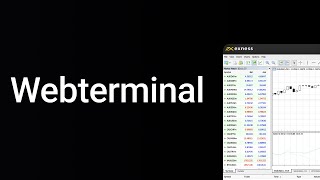 Your METATRADER WEB TERMINAL guide | a step-by-step tutorial