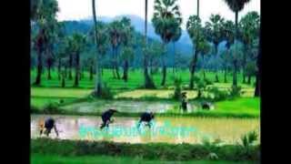 Lao song : ອາໄລບ້ານເກີດ - Ar lai barn gerd