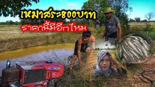 เหมาสระ800บาท ราคานี้มีอีกไหม แจ้งจางปางchannel EP.19