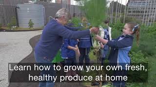 Little Sprouts Kitchen Garden – a destination for lifelong learning