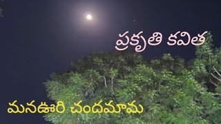 ప్రకృతి కవిత 🌿| మన ఊరి చందమామ 🌕 | Our Childhood Moon 🌝 | Nature Poetry