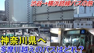 【多摩川越えの試練】渋谷から横浜まで路線バスのみで行ってみた【前編】