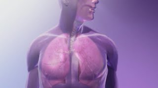 New report offering hope in lung cancer survival rates