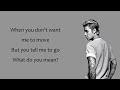 what do you mean justin bieber lyric video