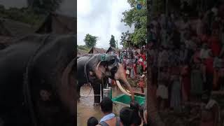 ഞാൻ ഇങ്ങനെയേ കുളിക്കൂ  | ഒരു ആനക്കുളി  | An Elephant Bath