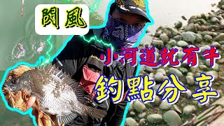 【磯釣】台中梧棲大排釣黑格-好走又躲風