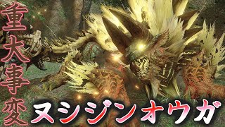 【MHRise 】こりゃ強すぎ?!今週の新イベント！ヌシジンオウガに初見で挑むっ！！モンハンライズライブ配信☆