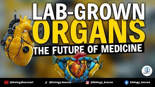 Lab-Grown Organs: The Future of Medicine | Breakthrough Discovery | Organ Transplant