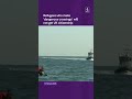 Small boat refugees won't get citizenship