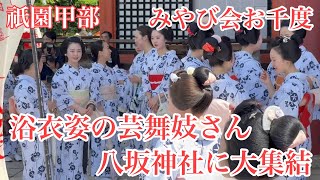 祇園甲部 浴衣姿の芸舞妓さんが八坂神社に大集結❗️【みやび会お千度】2024年7月5日