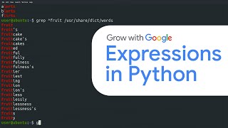 Regular Expressions in Python | Google IT Automation with Python Certificate