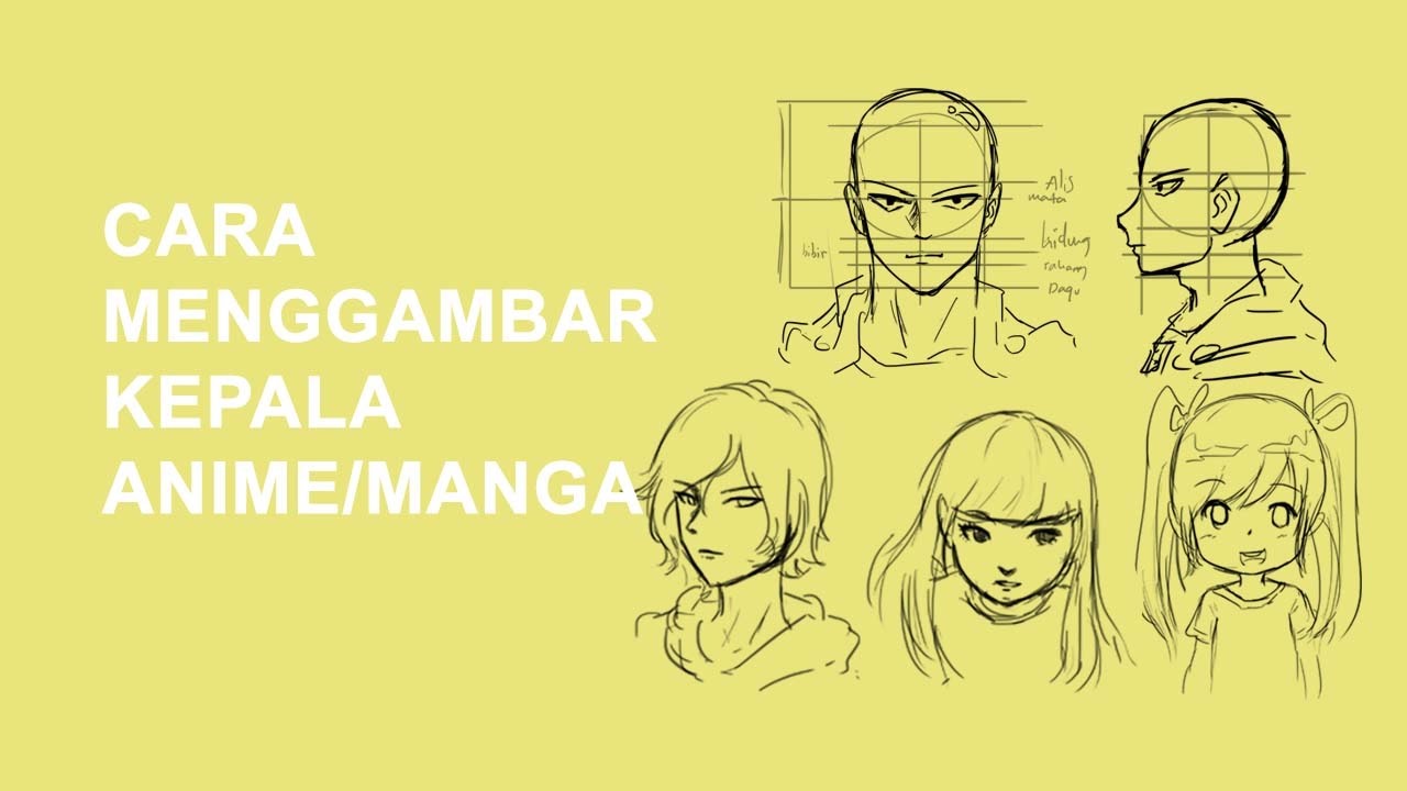 Cara Menggambar Wajah Anime Untuk Pemula Gambar Lucu