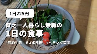 【食費月7000円】貧乏一人暮らし無職の1日の食事vlog│ベランダ菜園で半自給自足生活│#自炊 #ズボラ飯 #家庭菜園 #節約 #簡単レシピ #簡単料理 #節約生活