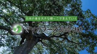 デリカフーズ長崎(株) 企業紹介動画