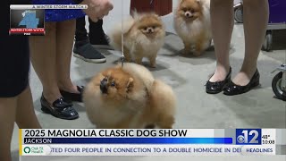 2025 Magnolia Classic AKC Dog Show held in Jackson