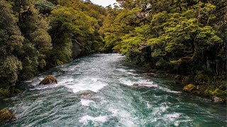 5 minutes River music, Melodious Relaxing music, River meditation || Melodious Relaxing