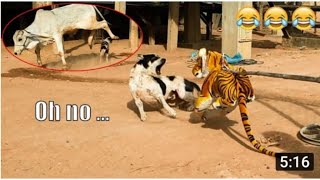 Wow!!! Fake Tiger Prank Dog So Funny Dog Reaction 2021 Try To Stop Laugh Challenge