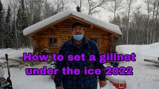 How to set a gillnet under the ice 2022