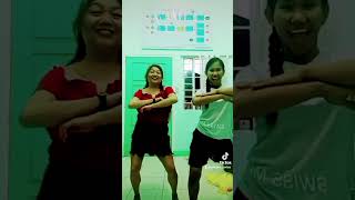 https://vt.tiktok.com/ZSLQX3PMn/  #tiktok #dance #challenge #friendship  #stressrelief #trending