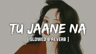Tu Jaane Na [Slowed+Reverb]- Atif Aslam | Text Audio Songs
