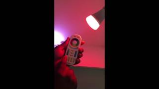 RGB-CCT Remote with Bulb Set Up