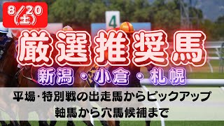 【中央競馬予想】8月20日(土)平場・特別レースの注目推奨馬ピックアップ