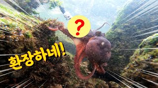 이걸 넣었더니 문어가 환장하며 달려드네? 깜짝이야! Octopus fishing