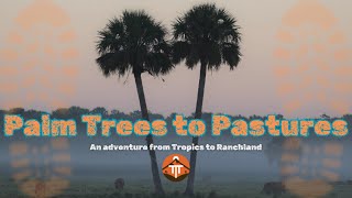 🌴Palm Trees to Pastures: an adventure from Tropics to Ranchland🌴