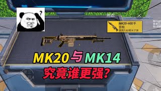 和平精英：MK20与MK14，究竟谁更强？