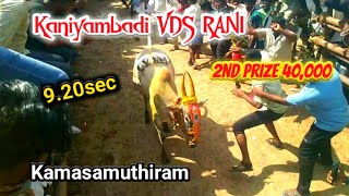 Kaniyambadi VDS RANI 9.20sec |2nd prize 40,000 |kamasamuthiram street |31/1/2025 |Tamizhrock