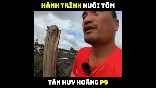 HÀNH TRÌNH NUÔI TÔM P9