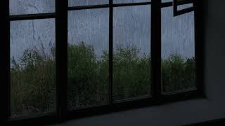 Heavy Rain and Thunder Sounds  - 1 hour heavy rain - Rain sounds for sleep debt, insomnia, adhd