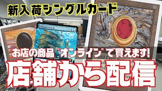 【店舗配信】状態を見てカードが買える！MTG秋葉原専門店から生配信！【東京MTGオンラインブース】