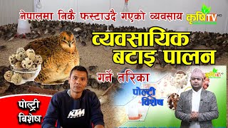 नेपालमै बसेर व्यवसायिक बटाइपालन यसरी गर्न सकिन्छ || Poultry Bishesh || Batai Palan in Nepal