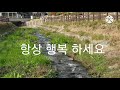 산책동영상_위례창곡천_위례근린공원_인근 walkingvideo_changgokstream_wiryeneighborhoodpark_nearby