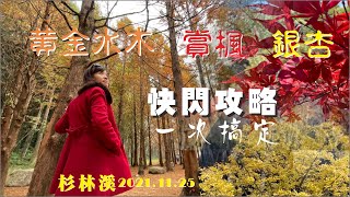 2021.11.25 杉林溪 賞楓 黃金水杉 銀杏 自駕攻略 | 登山健行 影音33