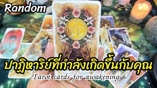 🌈🪬ปาฏิหาริย์ที่กำลังเกิดขึ้นกับคุณ   #random #tarot #reels #tarotreading #ดูดวง #tarotreader #ไพ่