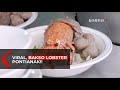 Viral! Bakso Lobster Lezat di Pontianak