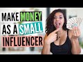 How To Work With Brands As A Small YouTube Influencer (Get Paid As A Nano Influencer)