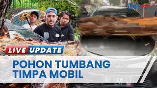 Pohon Tumbang di Manado Menimpa Mobil di Kota Manado karena Angin Kencang saat Cuaca Ekstrem