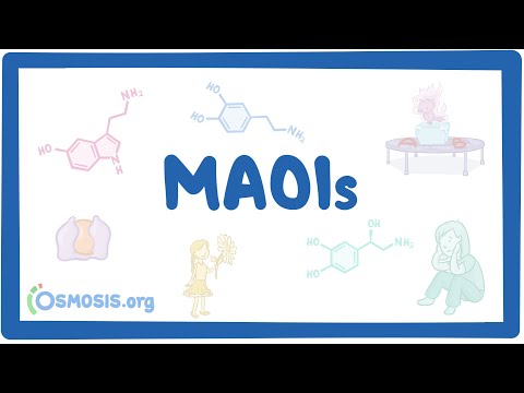 What are MAO inhibitors examples?